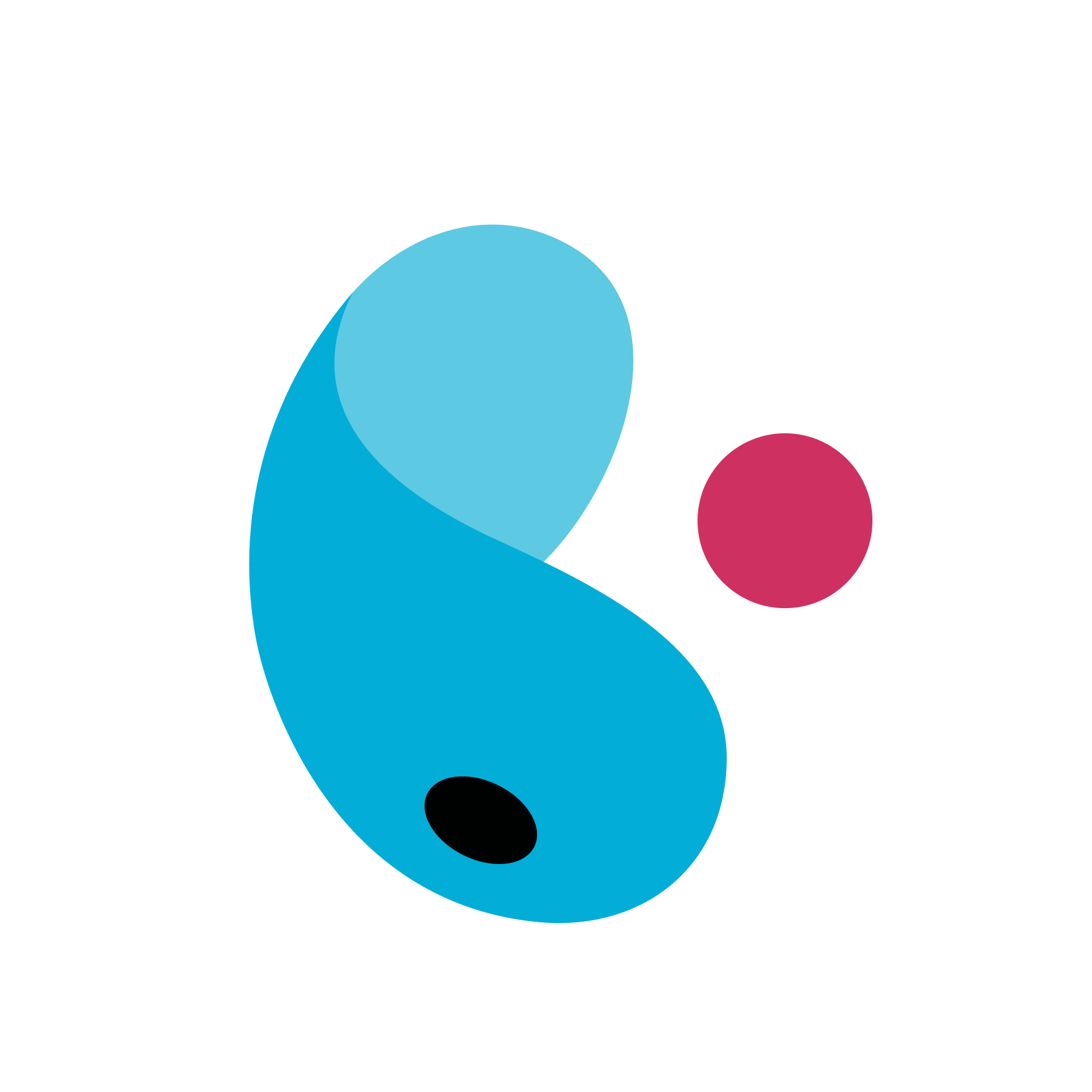 boGO Logo